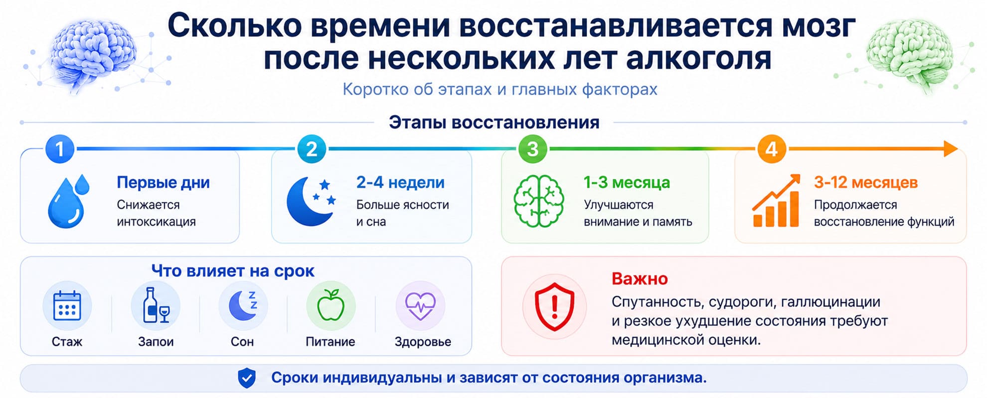 Инфографика о сроках восстановления мозга после нескольких лет алкоголя